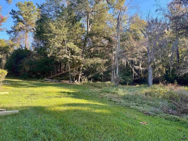 Listing photo 2 for 000 N Cedar Creek Rd, Cordele GA 31015