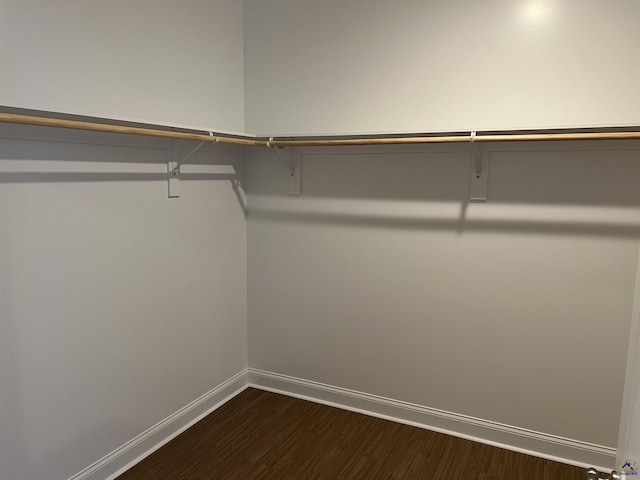 walk in closet with dark wood-type flooring