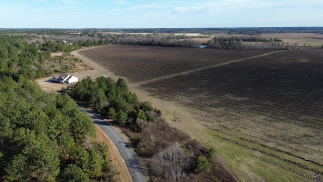 drone / aerial view with a rural view