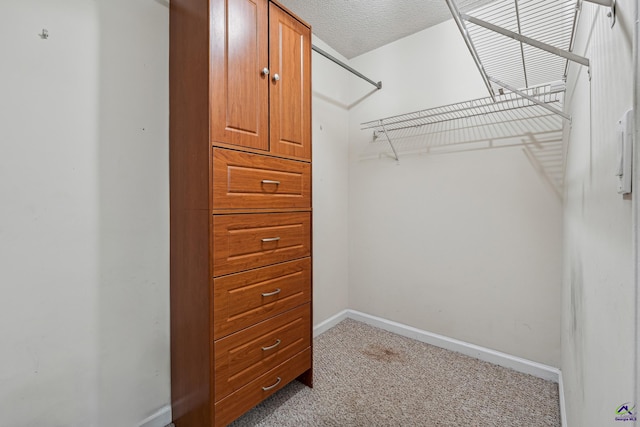 spacious closet featuring light colored carpet