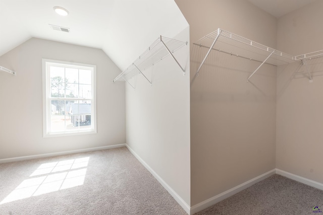 spacious closet featuring lofted ceiling, carpet flooring, and visible vents