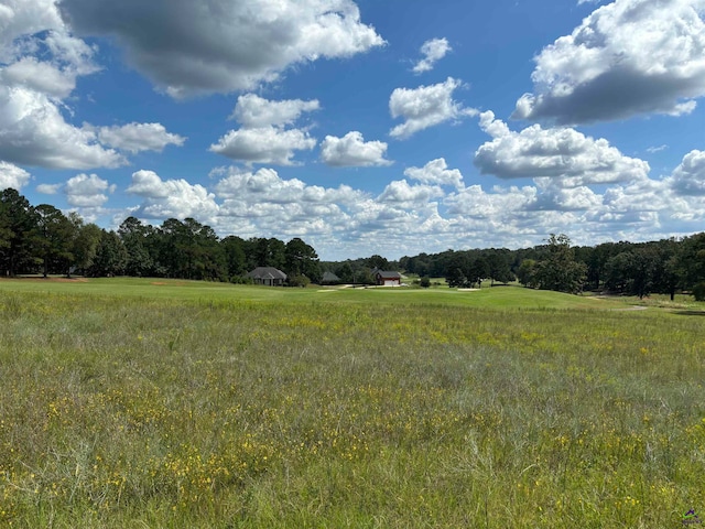 LOT16 Camden Way, Hawkinsville GA, 31036 land for sale