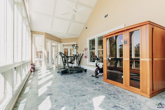 exercise area with french doors, high vaulted ceiling, and ceiling fan