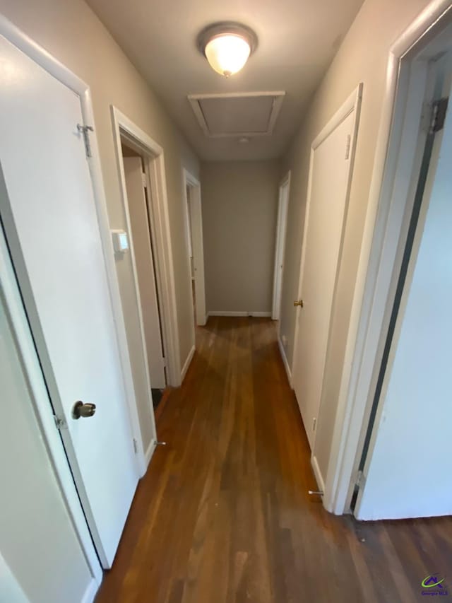 hallway featuring dark wood-type flooring