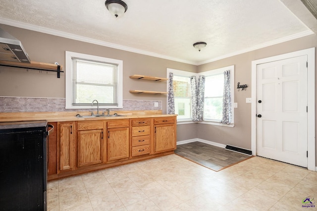 kitchen with crown molding, a textured ceiling, sink, and backsplash