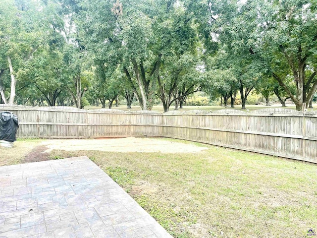 view of yard with a fenced backyard and a patio area