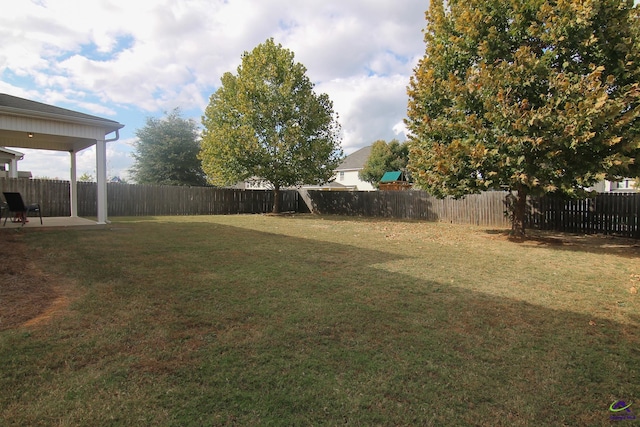 view of yard featuring a patio