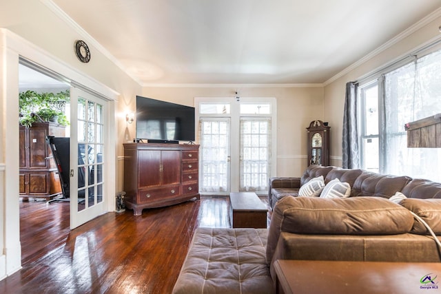 living room with french doors, dark wood-type flooring, and ornamental molding