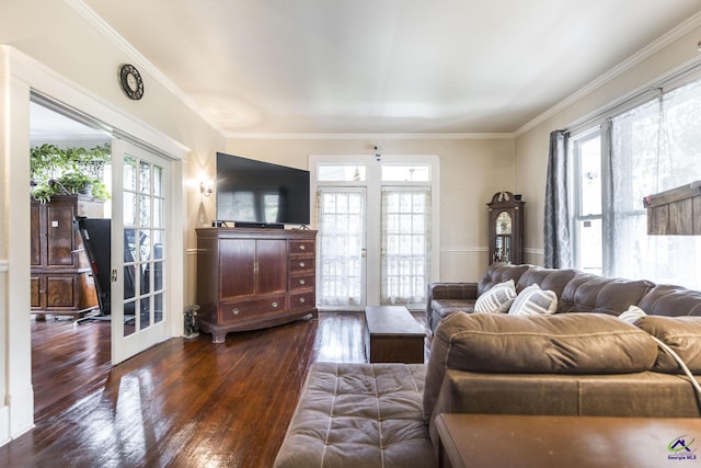 429 N Dooly St, Montezuma, GA 31063 - living area featuring healthy amount of natural light, wood-type flooring, crown molding, and french doors