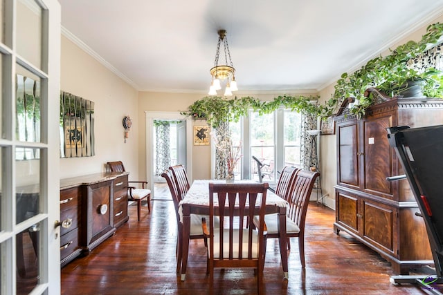 dining room with ornamental molding, dark hardwood / wood-style flooring, and plenty of natural light