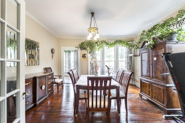 429 N Dooly St, Montezuma, GA 31063 - dining space with crown molding, dark wood-style floors, and a chandelier