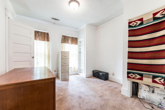 carpeted office space with crown molding and a textured ceiling