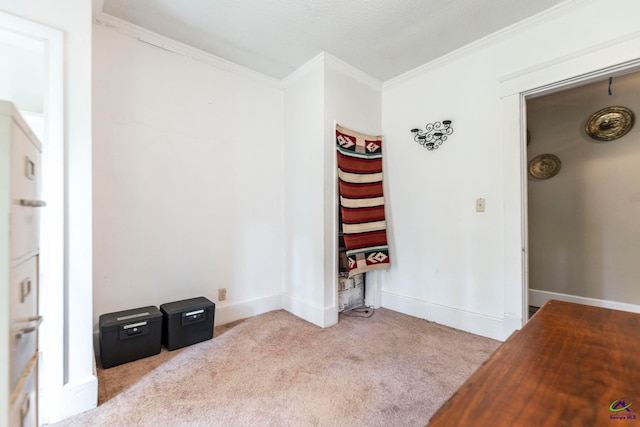 carpeted empty room featuring crown molding