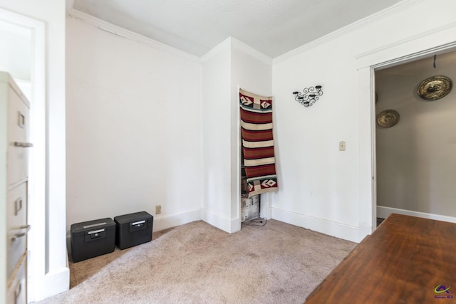 429 N Dooly St, Montezuma, GA 31063 - unfurnished room featuring carpet flooring, ornamental molding, and baseboards