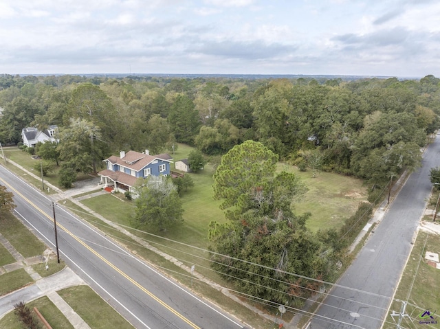 429 N Dooly St, Montezuma, GA 31063 - bird's eye view of a forest