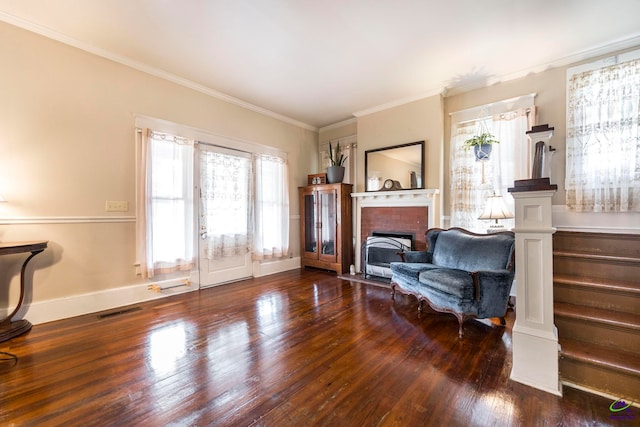 living area featuring crown molding, dark hardwood / wood-style floors, and a fireplace