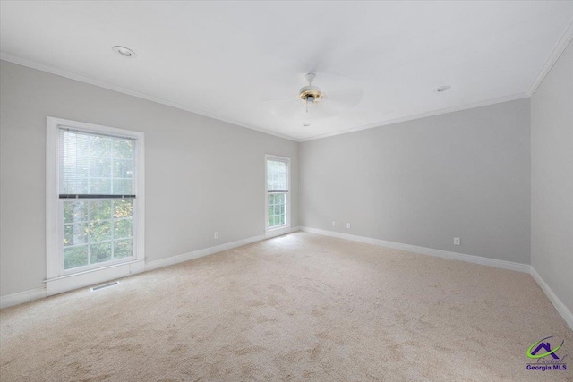 spare room with carpet, a wealth of natural light, and ornamental molding