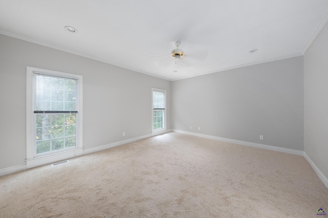 unfurnished room featuring carpet flooring, ceiling fan, and crown molding