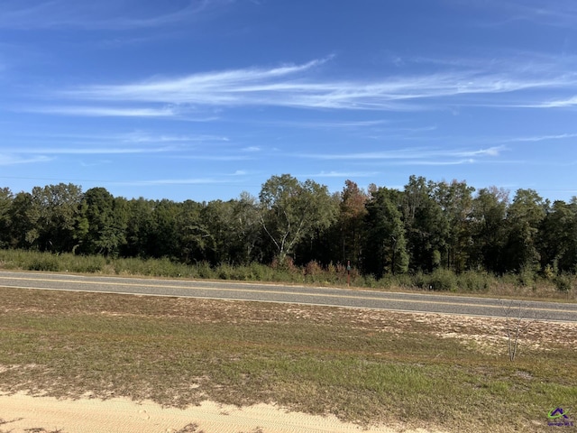 view of local wilderness