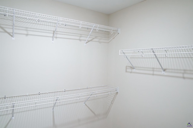 100 Saraland Trl, Perry, GA 31069 - view of walk in closet