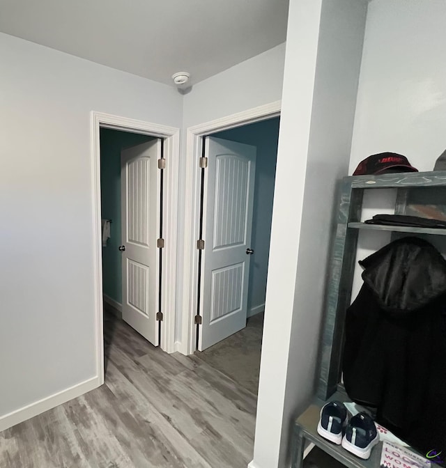 hallway featuring wood-type flooring