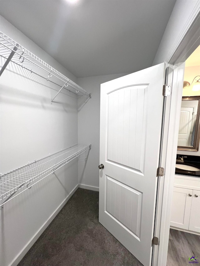 walk in closet with sink and dark carpet