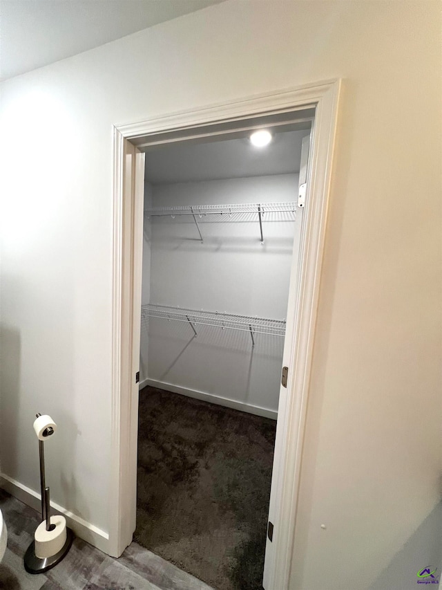 spacious closet featuring carpet