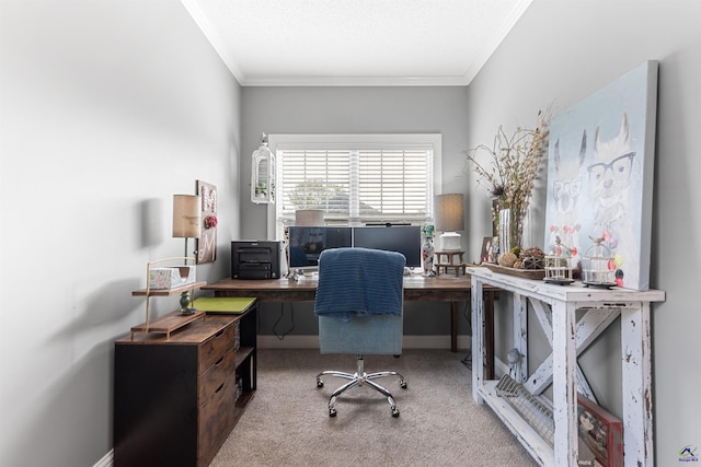 carpeted home office with crown molding