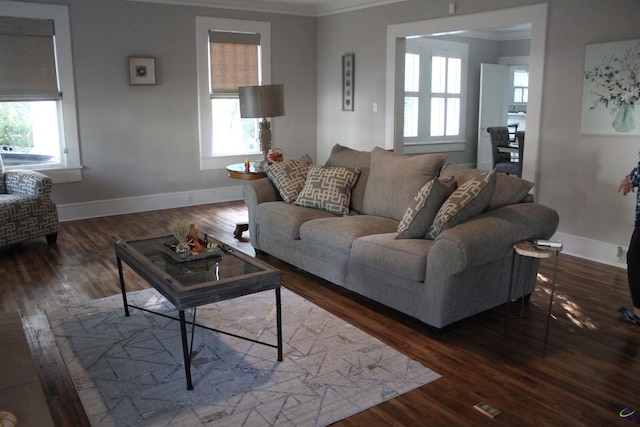 505 Engram St, Montezuma, GA 31063 - living room featuring ornamental molding, healthy amount of natural light, and dark wood-type flooring