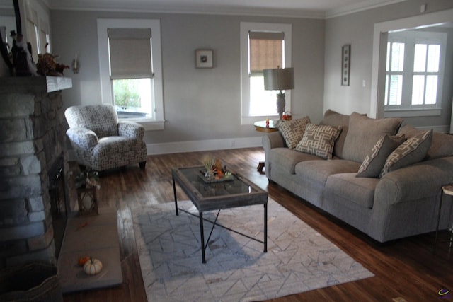 505 Engram St, Montezuma, GA 31063 - living room with ornamental molding, wood finished floors, and a fireplace
