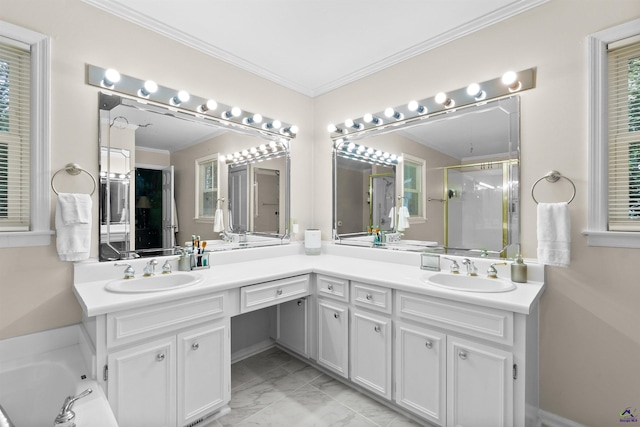 bathroom featuring crown molding, vanity, and an enclosed shower