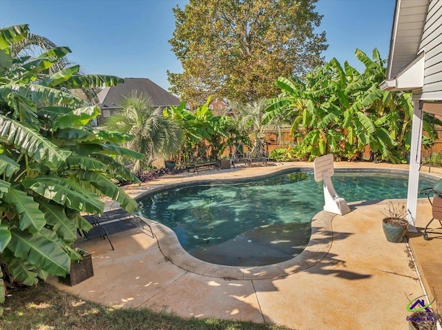 view of pool featuring a patio