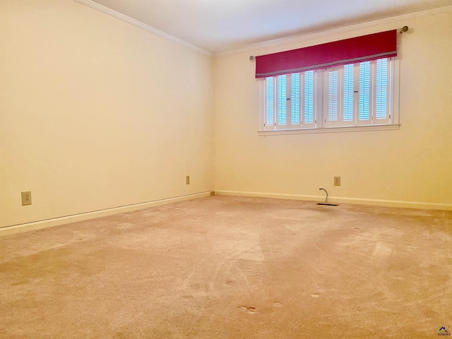 carpeted spare room with crown molding