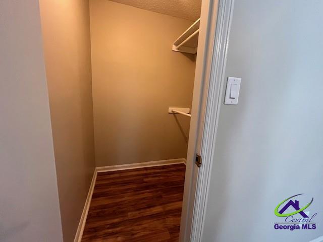 walk in closet with dark hardwood / wood-style flooring