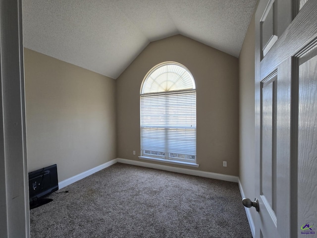 spare room featuring a textured ceiling, lofted ceiling, and carpet flooring