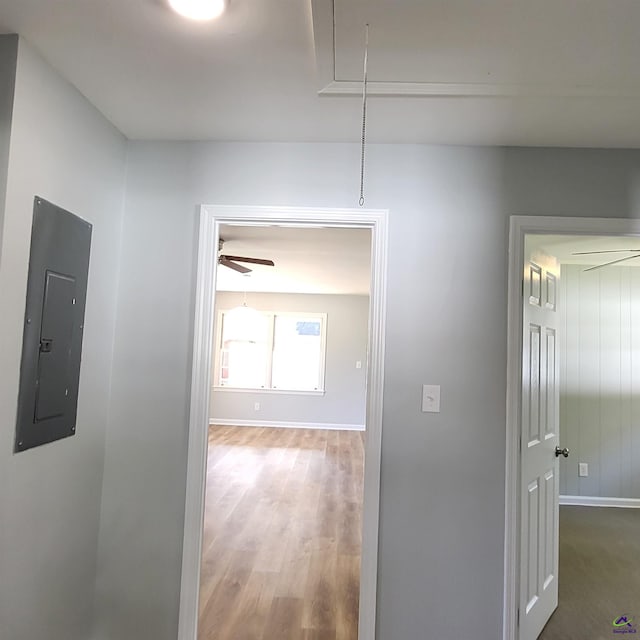 hallway featuring electric panel and hardwood / wood-style floors