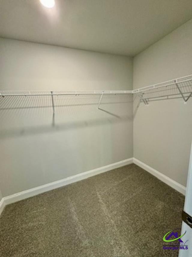 spacious closet featuring dark colored carpet