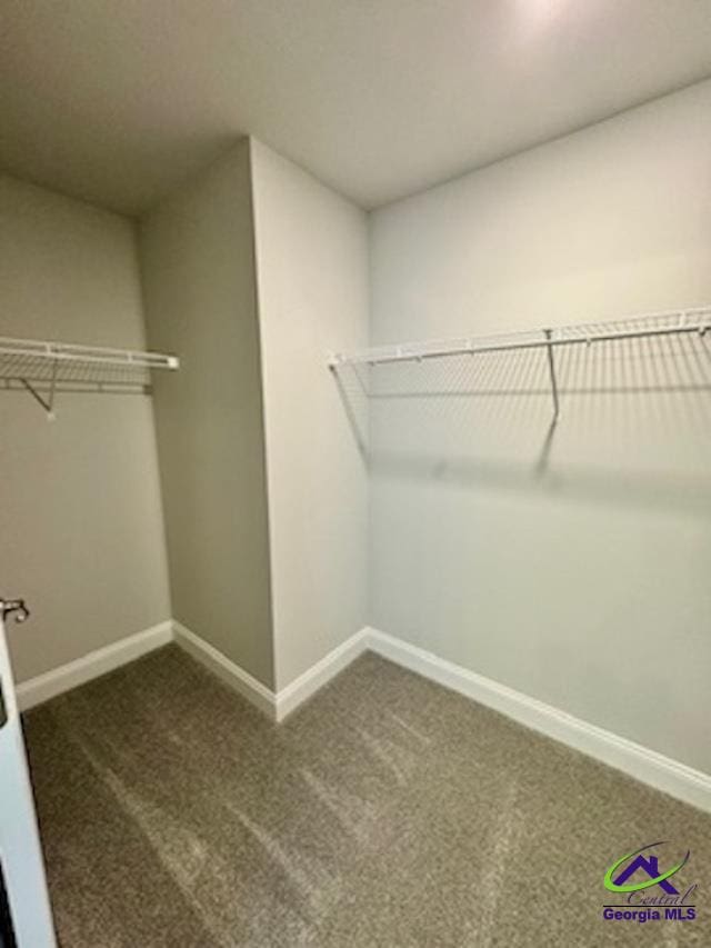 spacious closet with dark carpet