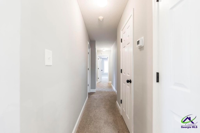 hall featuring light colored carpet and a textured ceiling