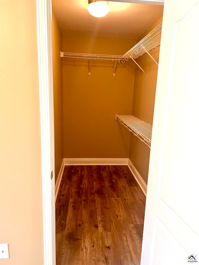 spacious closet featuring dark hardwood / wood-style floors