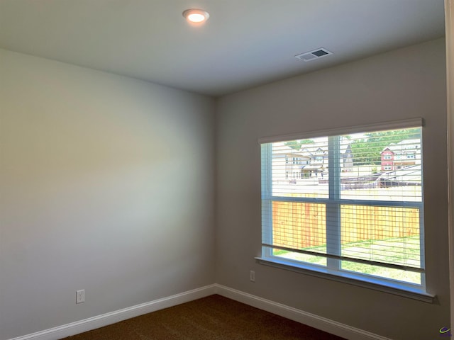 carpeted empty room with a healthy amount of sunlight