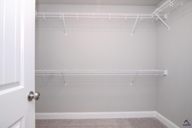 spacious closet with carpet flooring