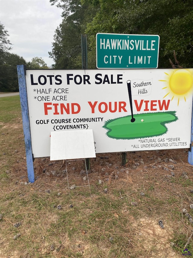 Listing photo 2 for G70 River Rdg, Hawkinsville GA 31036