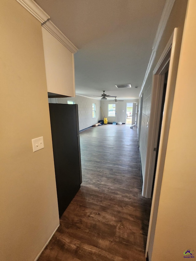 corridor with dark hardwood / wood-style floors and crown molding