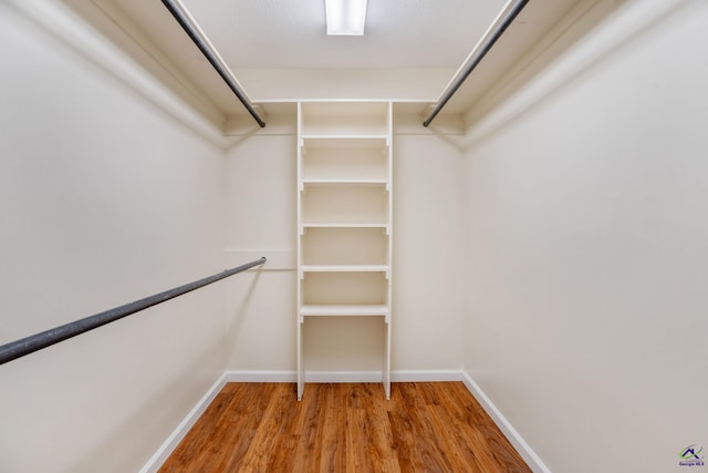 walk in closet featuring hardwood / wood-style floors