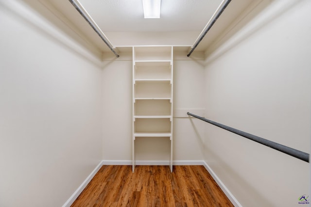 spacious closet featuring hardwood / wood-style floors