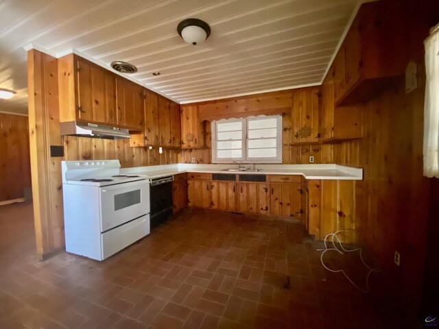 kitchen with wood walls, sink, black dishwasher, white electric range oven, and extractor fan