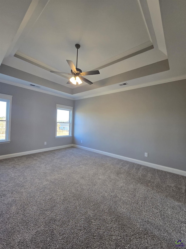 carpeted empty room featuring a raised ceiling and plenty of natural light