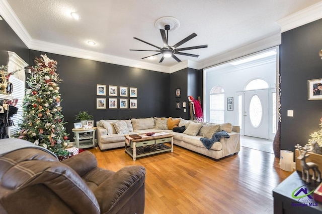 living room with crown molding, hardwood / wood-style floors, ceiling fan, and a textured ceiling