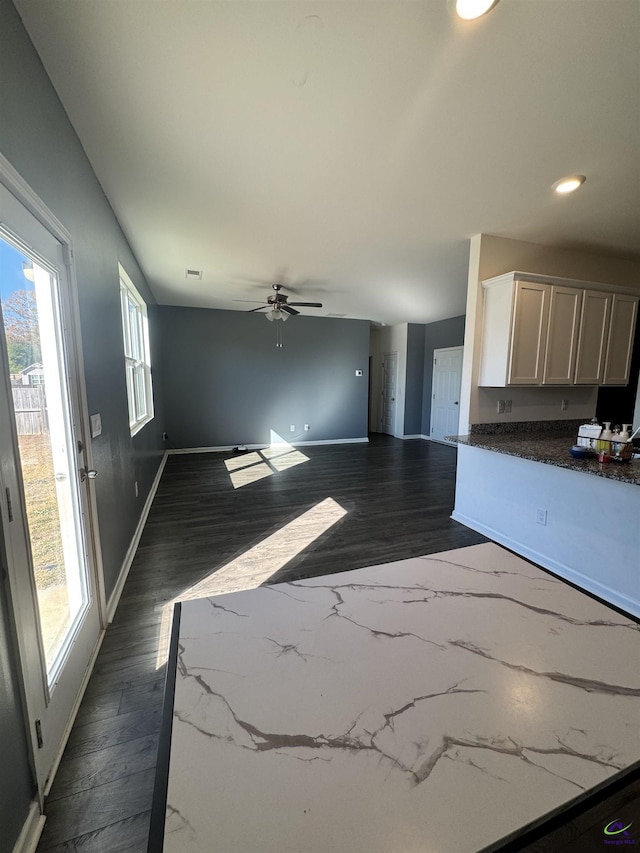 interior space featuring dark hardwood / wood-style floors and ceiling fan